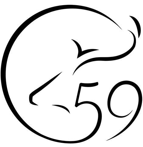 logo O'59